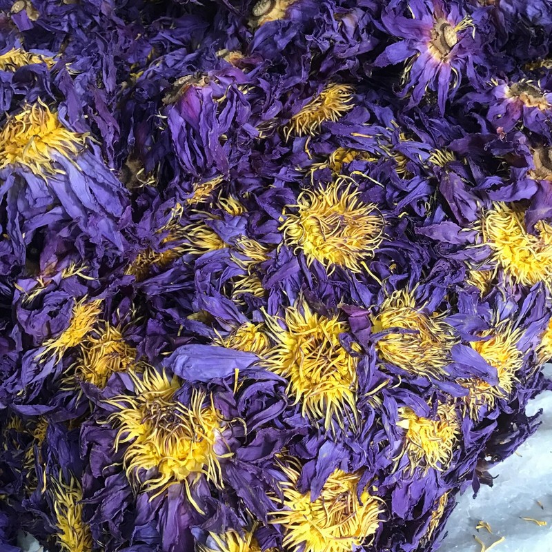 Ceylon Dried Blue Lotus Nymphaea Caerulea 100% Organic Herbal Hand Picked Flower gallery
