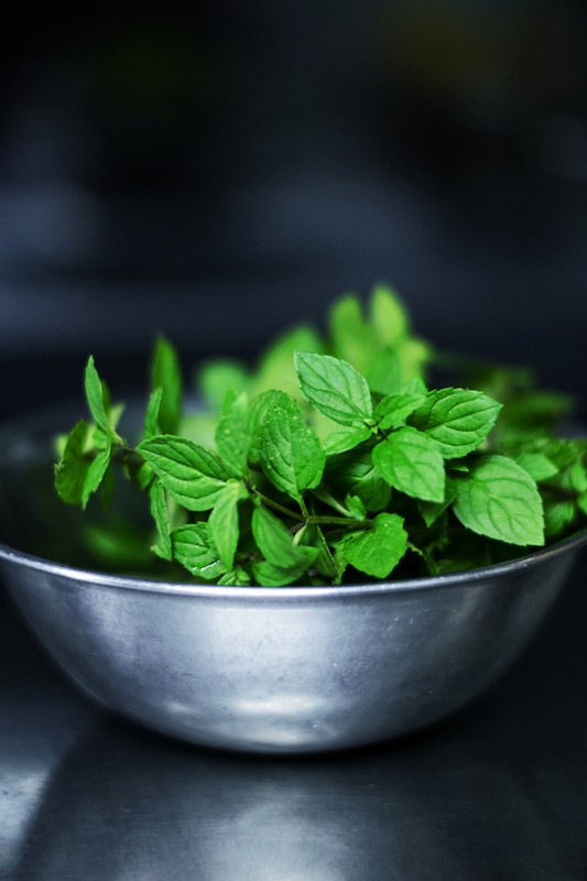 THROAT Herbal Tea gallery