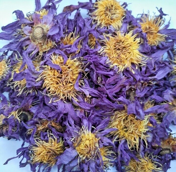 Dried Blue Lotus Flower Nymphaea Caerulea Natural Hand Picked Herbal Flowers gallery