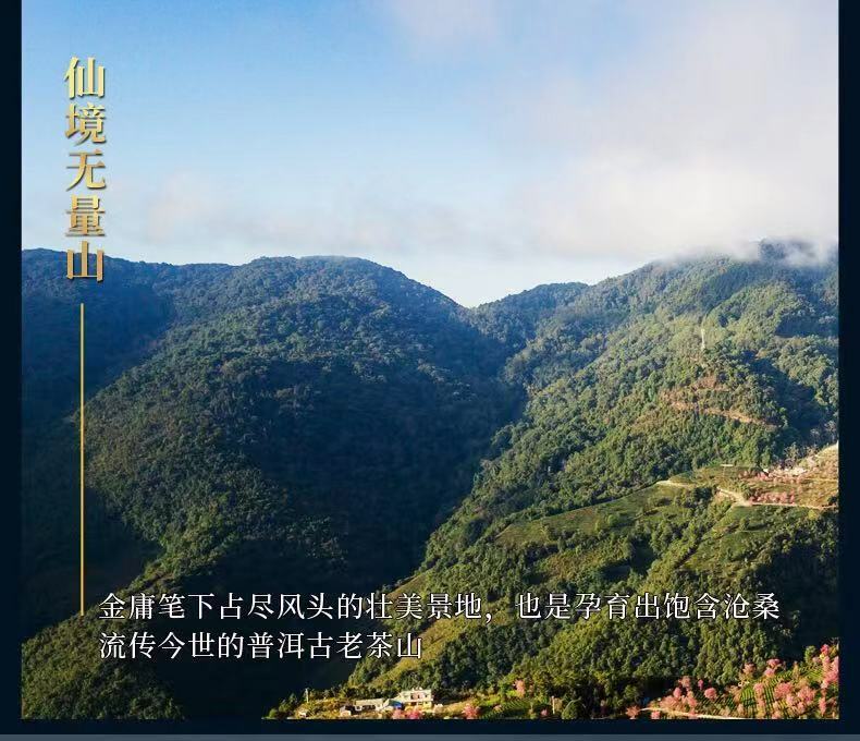 Pu-Erh,盛嘉源,無量山(古樹純料) 茶區,2019y,357g gallery