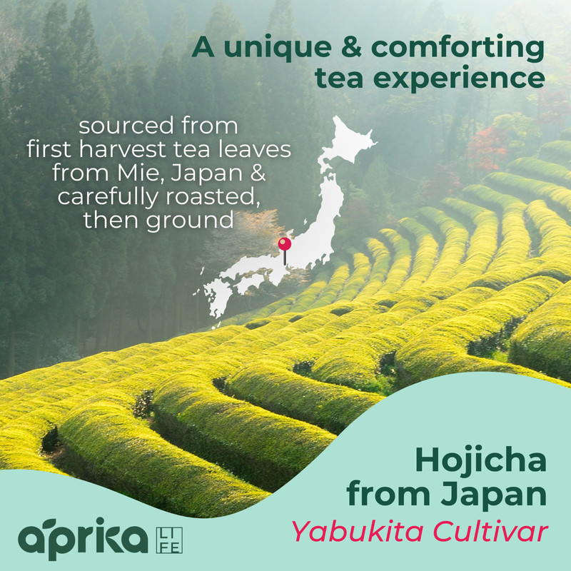 Organic Hojicha Roasted Green Tea Powder - Authentic Japanese Tea 100g/3.5 oz gallery