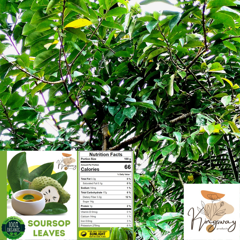 ORGANIC SOURSOP OJAS DE GUANABANA ANNONA GRA GRAVIOLA DRIED LEAVES FREE SHIPPING