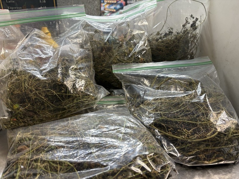 Asosi Or Dried Cerasee Leaves Momordica Charantia, Bitter Melon gallery