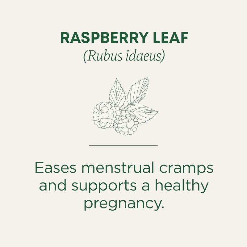 Caffeine-Free Raspberry Leaf Herbal Tea for Menstrual Relief - 16 Count Pack gallery