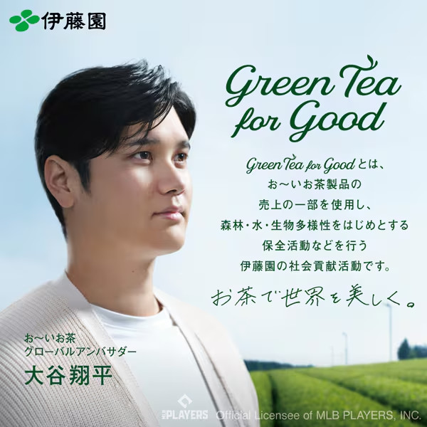 Japanese Green Tea Bags 50 pcs Ito En Oi Ocha Premium, Uji Matcha Blended Sencha gallery