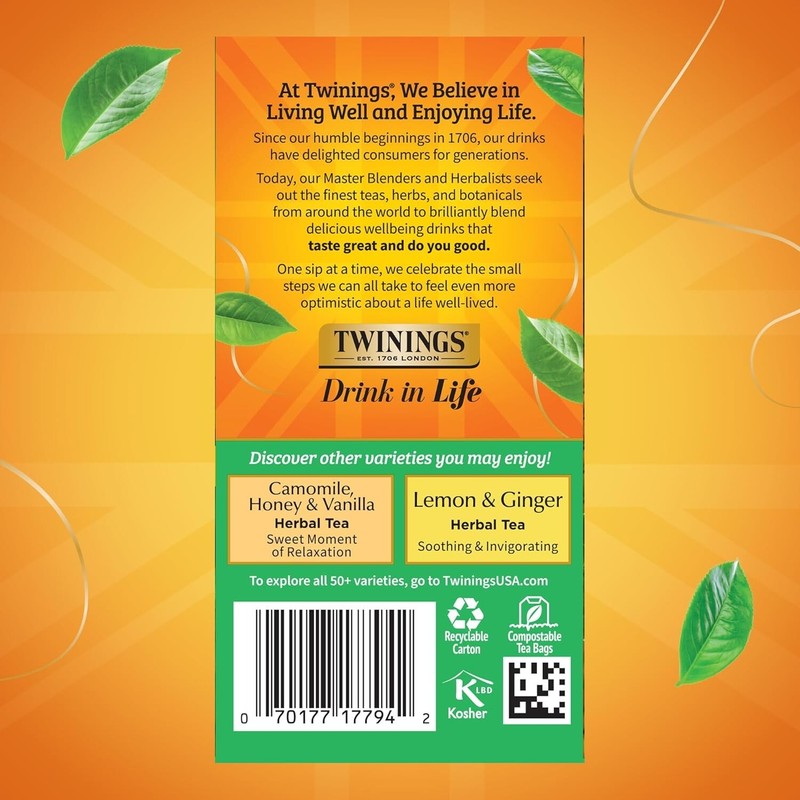 Decaffeinated Green Tea, Individually Wrapped Bags, 20 Count (Pack of 6), Smooth gallery