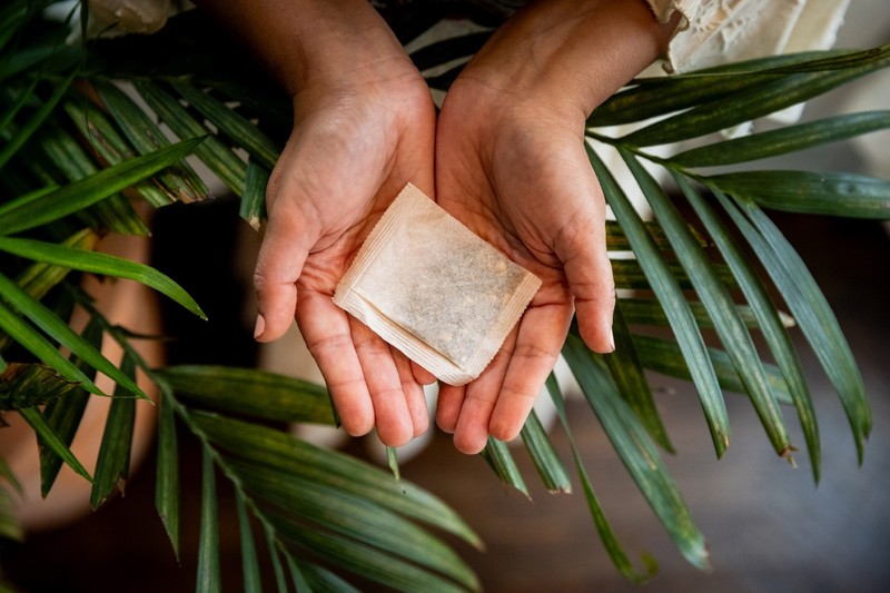 Control Sugar Delete| Gymnema Tea Blend | Organic Ingredients | 25 tea bags gallery