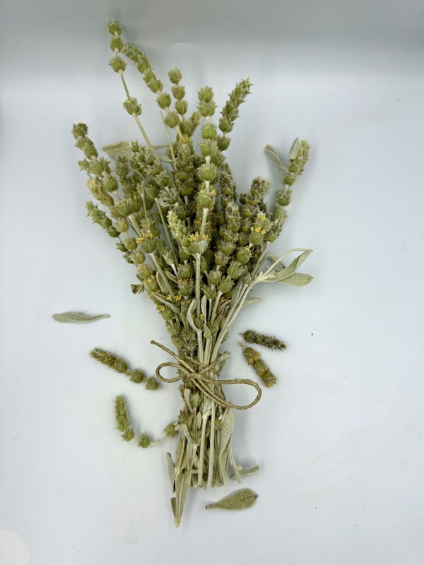 Greek Mountain Tea Sideritis Syriaca – Malotira Cretan Tea 70gr – 4.9kg