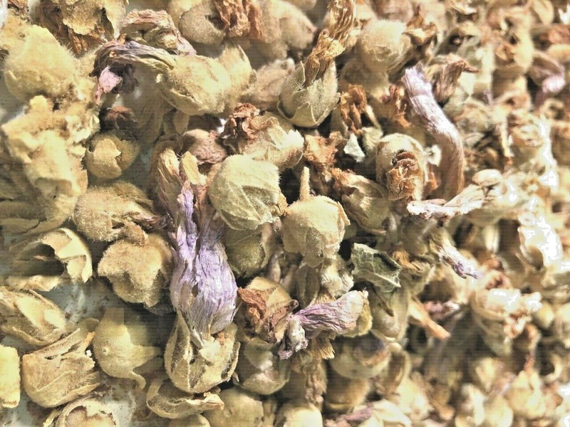 ALL Natural Organic Marshmallow FLOWERS! – Bulk POTENT Aromatic Althaea!