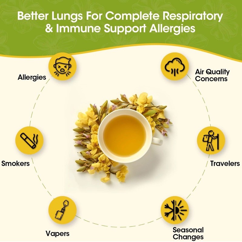 Mullein Leaf Tea Bags for Lung Cleanse, Respiratory Support and Mucus Allergies gallery