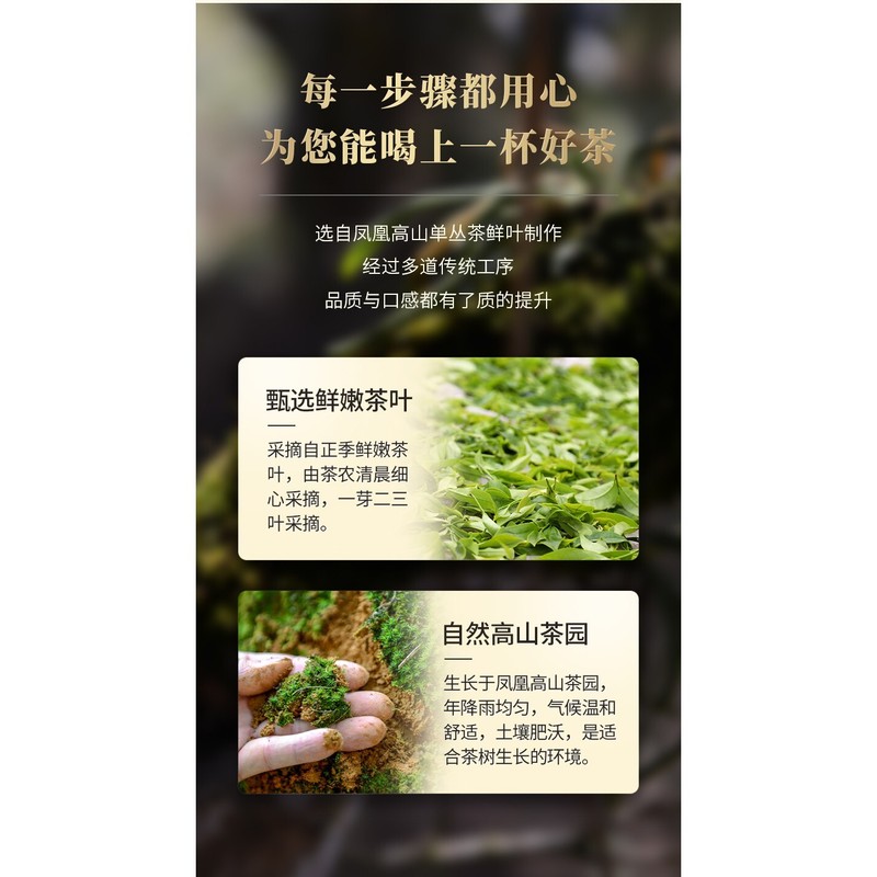 Phoenix Dancong 鳳凰單叢,鳳凰高山赤葉茶,傳統炭焙,重火,500g gallery
