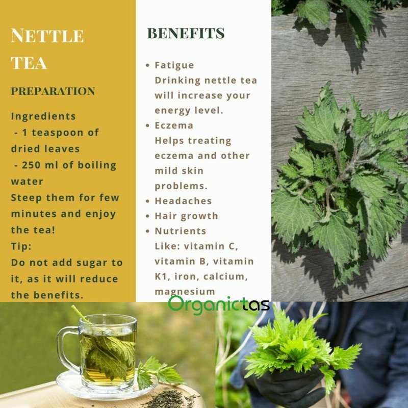 Organic NETTLE LEAF Herbal Tea Dried Cut Urtica Dioica 100g Premium Quality BIO gallery