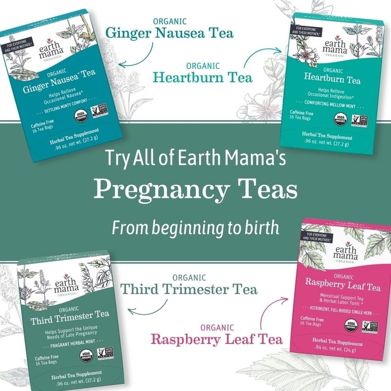 Organic Ginger Tea for Nausea Relief - 16 Bags per Box, 6-Pack Convenient Option gallery