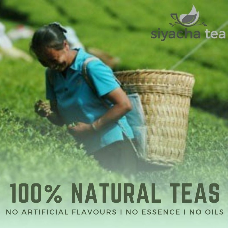 Assam Black Tea Difflooo High Grown Trustee Certified BOP 2023 SECOND FLUSH Leaf gallery