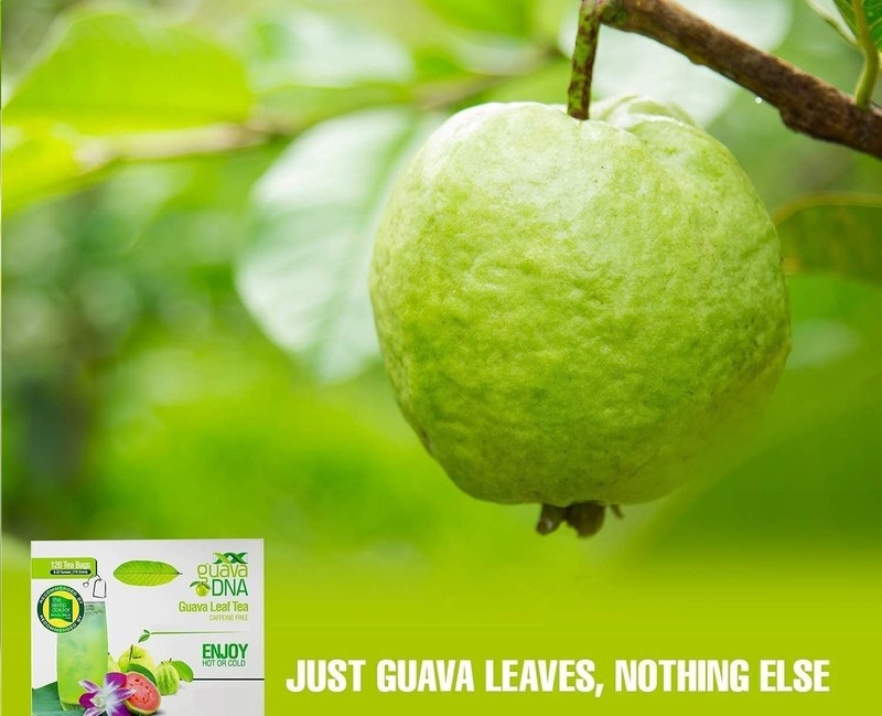 GuavaDNA Guava Leaf Tea Individually Wrapped Teabags by 120 Count (Pack of 1) gallery