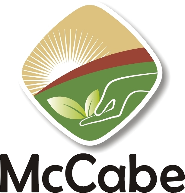 McCabe ORGANIC Sun-Dried Ruby Beet Tea, 80g, USDA Organic Certified gallery