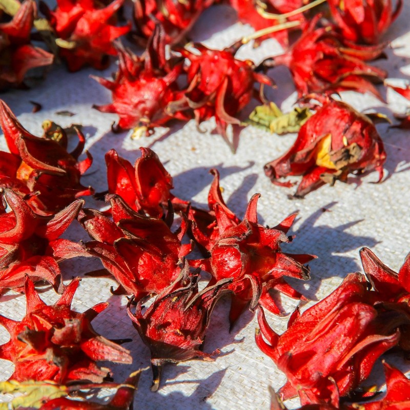 Hibiscus Flower Turmeric Root Herbal Tea 30Tea Bags, All Natural, Caffeine-Free gallery