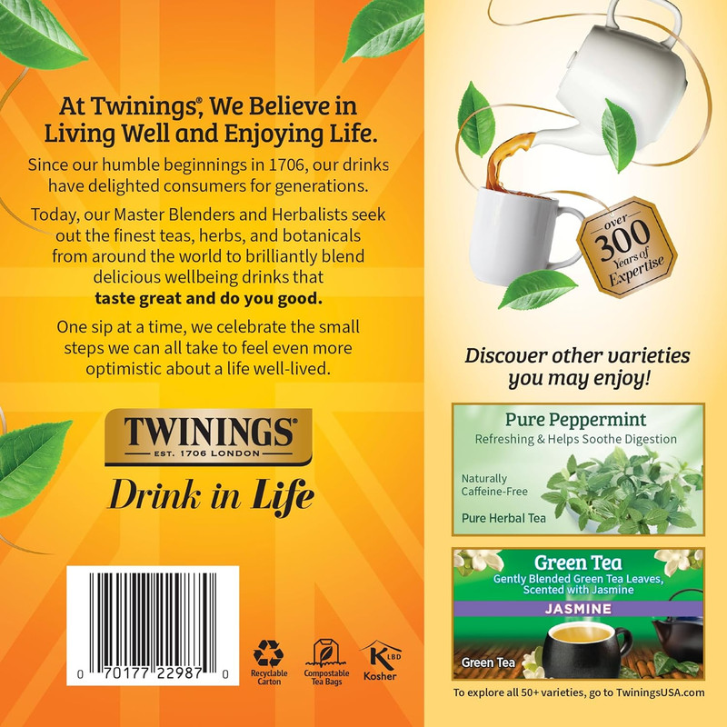 Lemon & Ginger Herbal Tea Individually Wrapped Bags, 100 Count (Pack of 1), Tang gallery