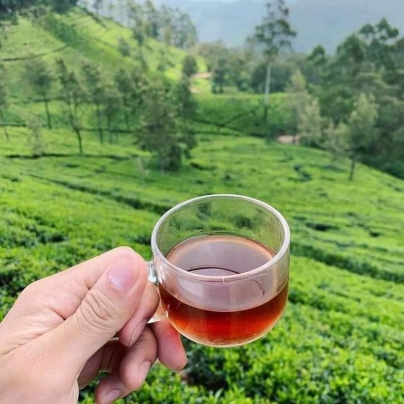 100% Pure Ceylon Black Tea gallery