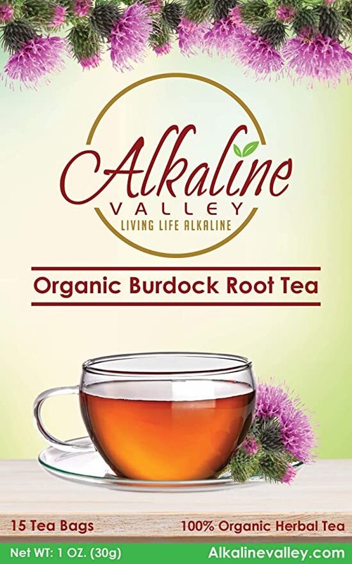 Burdock Root Tea Organic - 90 Unbleached/Chemical-Free Burdock Root Tea Bags gallery