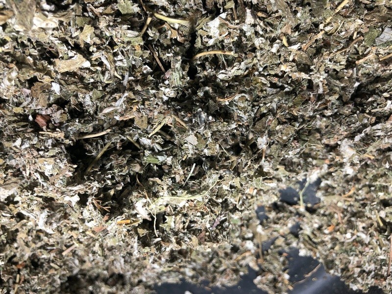 Red Raspberry Leaf Organic Natural Bulk Herb Leaves - 32 oz ounces gallery