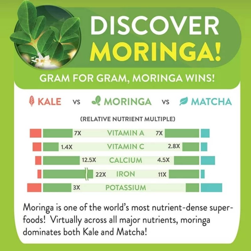Moringa Tea Bags Bulk, 93 Nutrients Superfood, Moringa Energy Life, 112 Tea Bags gallery