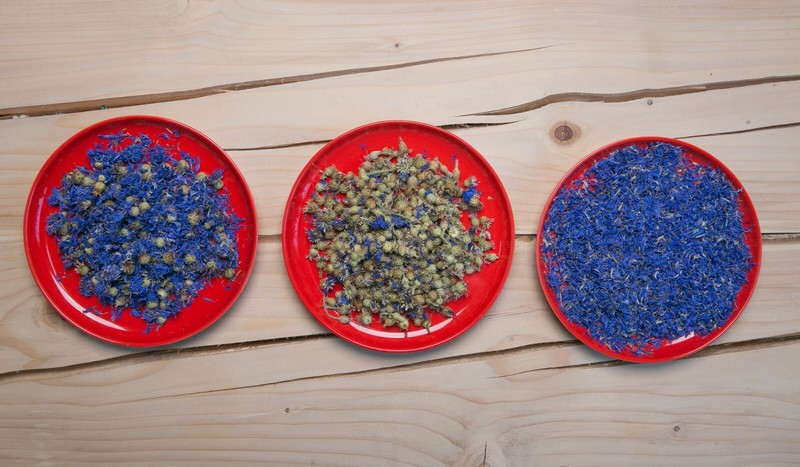 Cornflower Petals, White, Red, Purple, Blue European Natural 1-16 oz. Free Ship. gallery