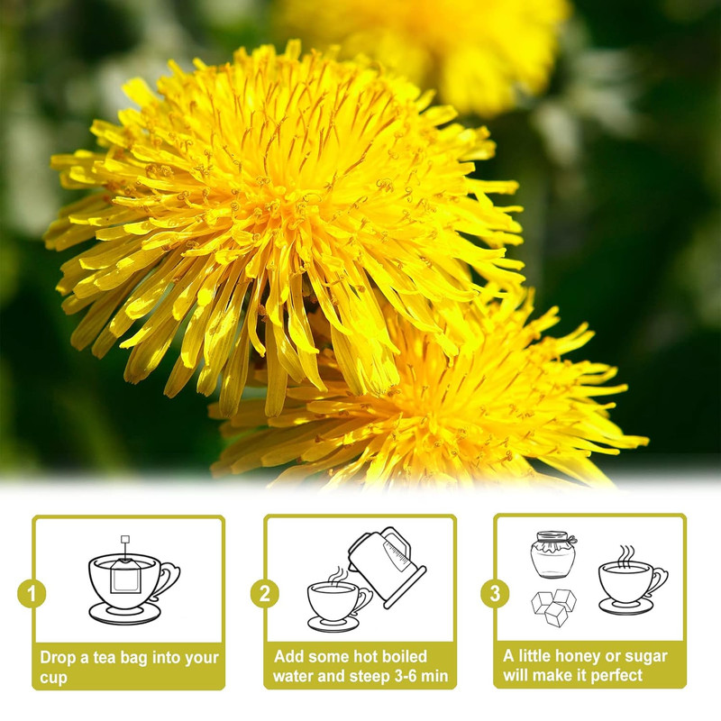 - Dandelion Root Tea - 2.5G X 50 Count Premium Raw Dandelion Root Tea Bags - Caf gallery