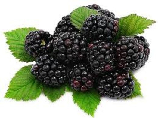 Blackberry Handmade 8oz flavored China black leaf tea