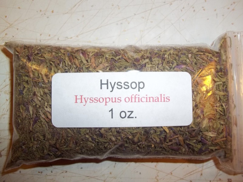 1 oz. Hyssop (Hyssopus officinalis)