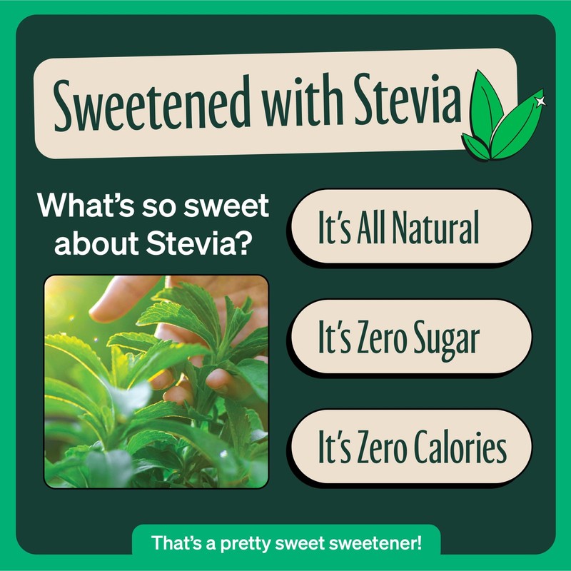 Zero Sugar Raspberry Black Tea Cans (12-Pack) - Naturally Sweetened, Vegan gallery