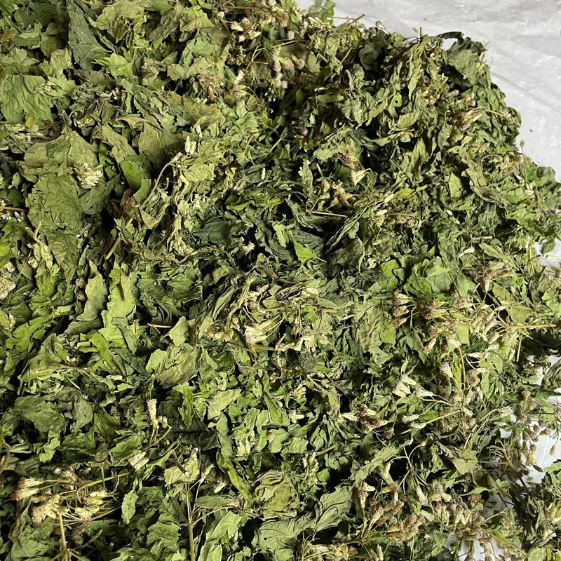 Ceylon Calea Zacatechichi Mexican Dream Herb 100% Organic Pure Herbal Tea gallery