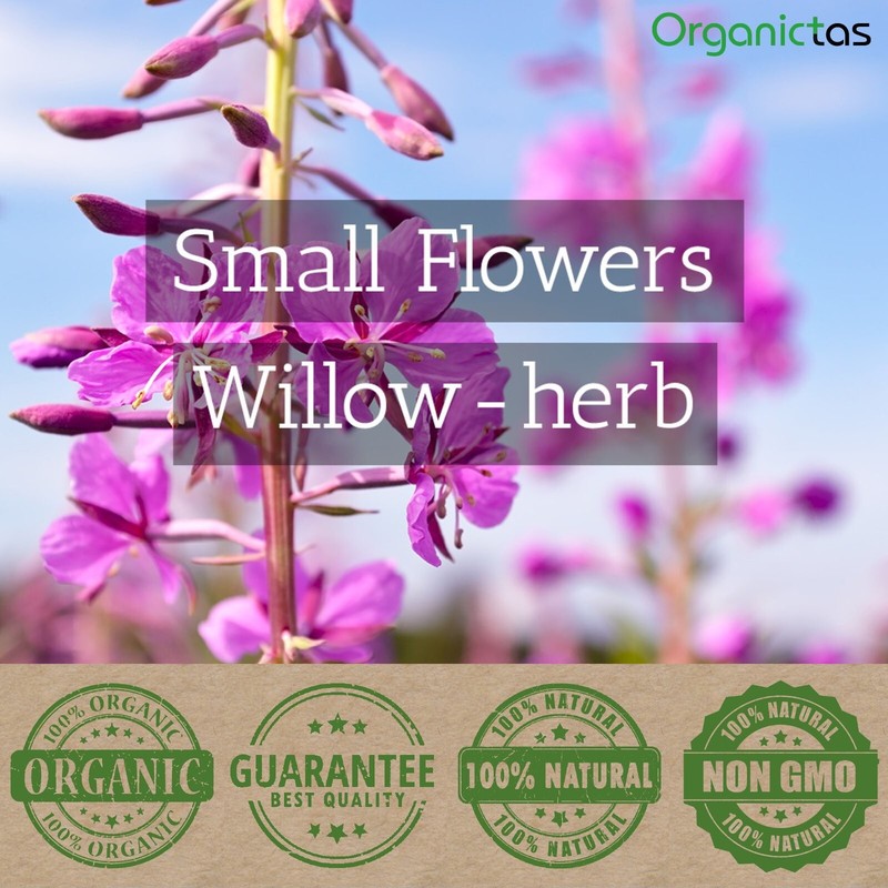 WILLOW HERB TEA ORGANIC - Willowherb Epilobium Prostata Herbal Tea 200g / 7.10oz gallery