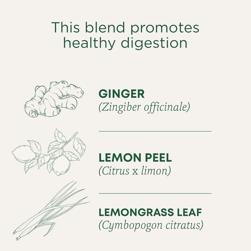 Refreshing Organic Lemon Ginger Tea - 16 Count Pack, Non-GMO Caffeine-Free gallery