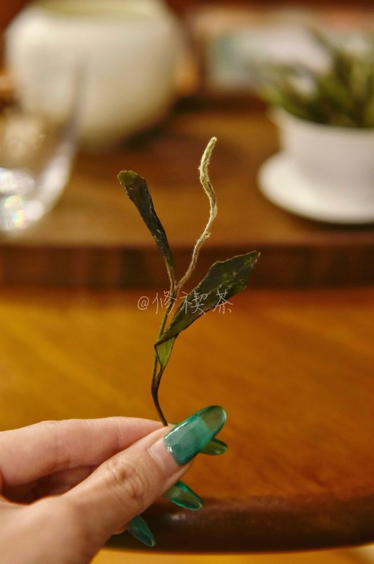 Fuding White Tea, 2023 First Spring Wild Shou Mei, 125g Bagged Chinese White Tea gallery