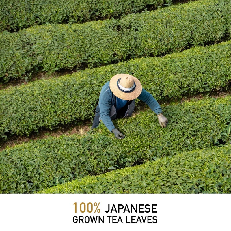 Leafmessage Tea - Premium Sencha Tea Bags Artisan Tea 極品煎茶 せんちゃ 12-pack gallery