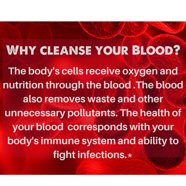 Organic Blood LifeBoost® Tea [28 Tea Bags] SpeedyVite® gallery