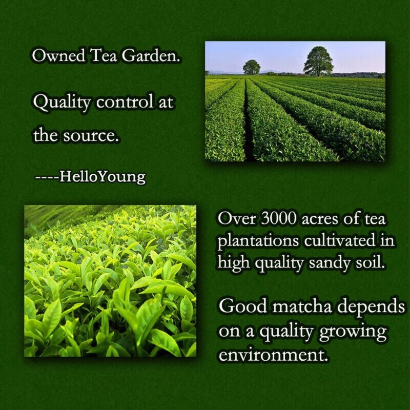 Organic Ceremonial Grade Matcha Powder 250g Green Tea Latte Morning Drink gallery