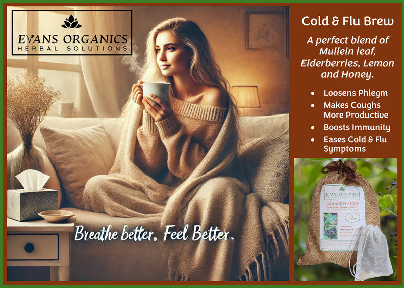 Cold and Flu Brew - Mullein Tea - 18 count gallery