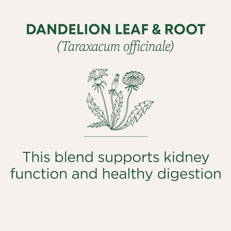 Herbal Dandelion Root Tea - 16 Compostable Teabags for Digestive Health gallery