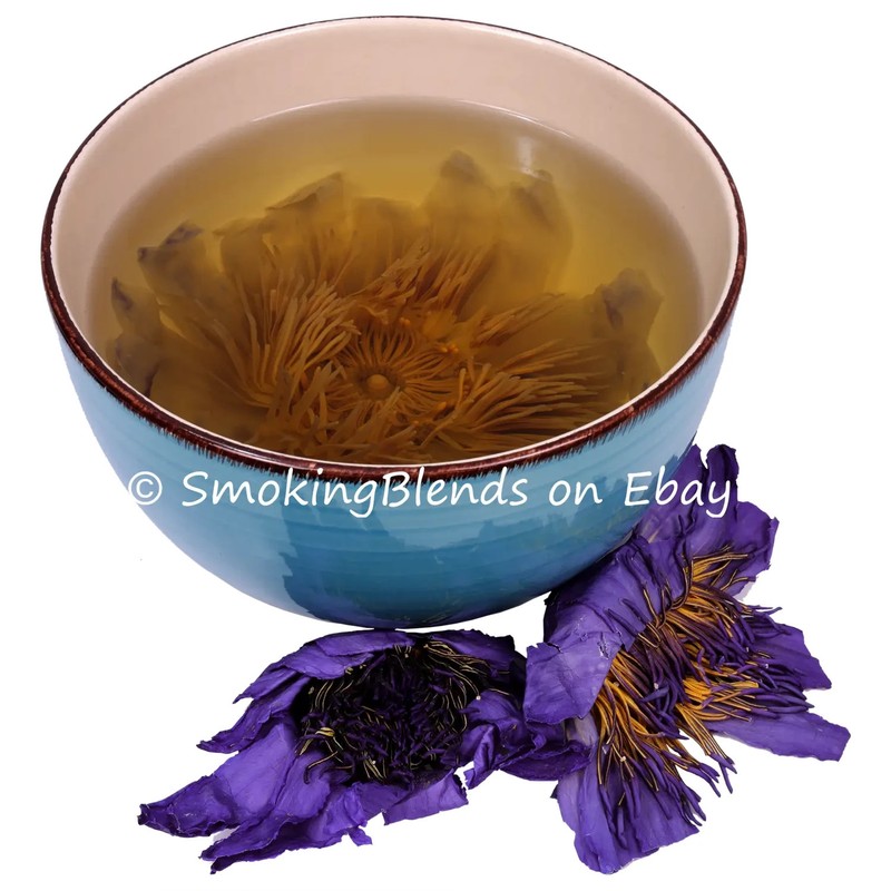 Blue Lotus Flowers – Egyptian Whole – Premium Tea – 1/4 oz to 4 oz