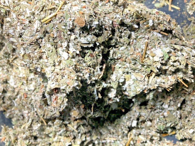 RED RASPBERRY Leaf Herb (1 oz ounce) Organic wild crafted 100% Natural