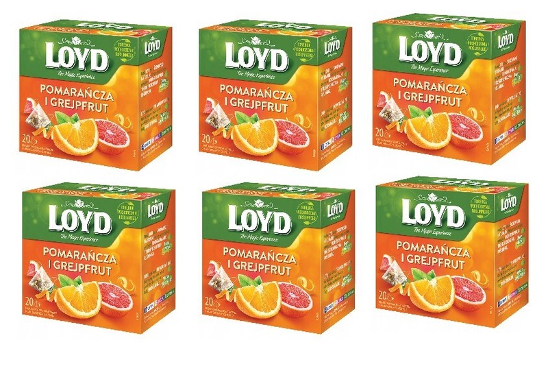 6x LOYD Orange & Grapefruit Flavored Fruit Tea Silk Pyramid Bags 20 Pcs