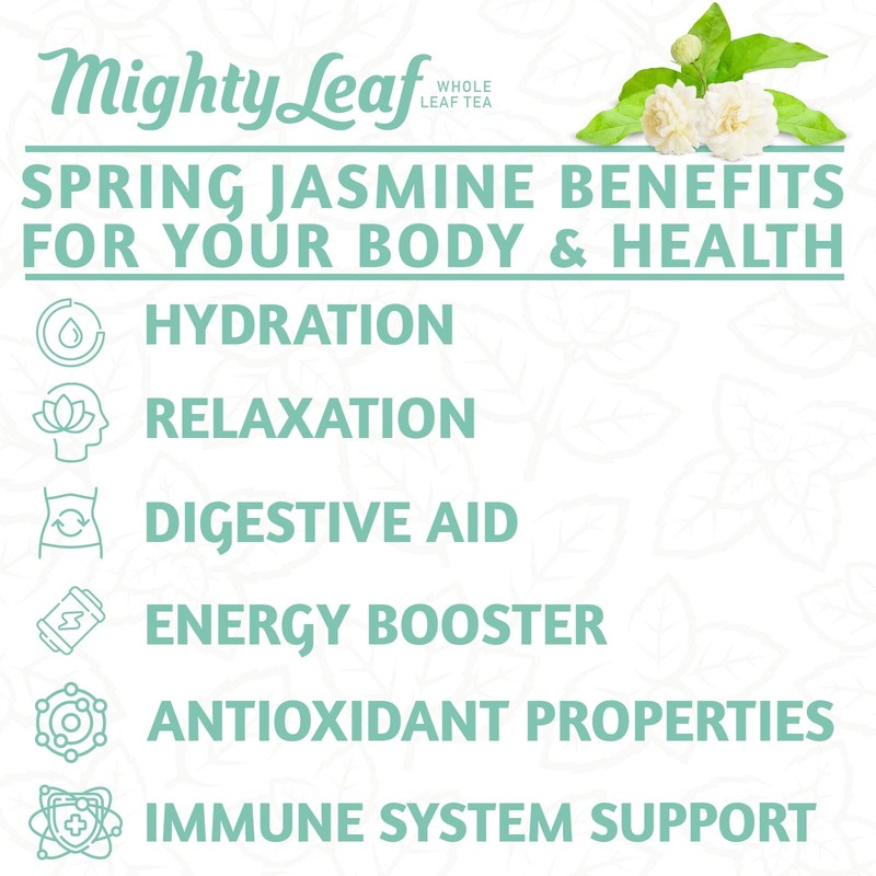 Mighty Leaf Organic Spring Jasmine Green Tea – 100 Count Premium Silken Tea B... gallery