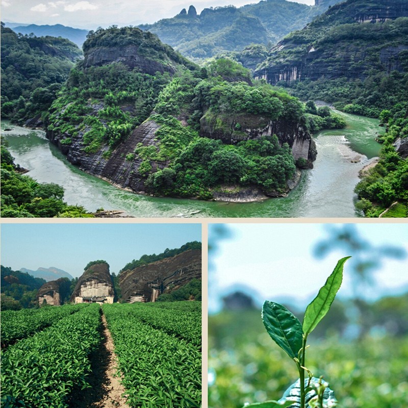 250g Da Hong Pao Oolong Tea Big Red Robe Wuyi Rock Tea Premium Loose Leaf gallery
