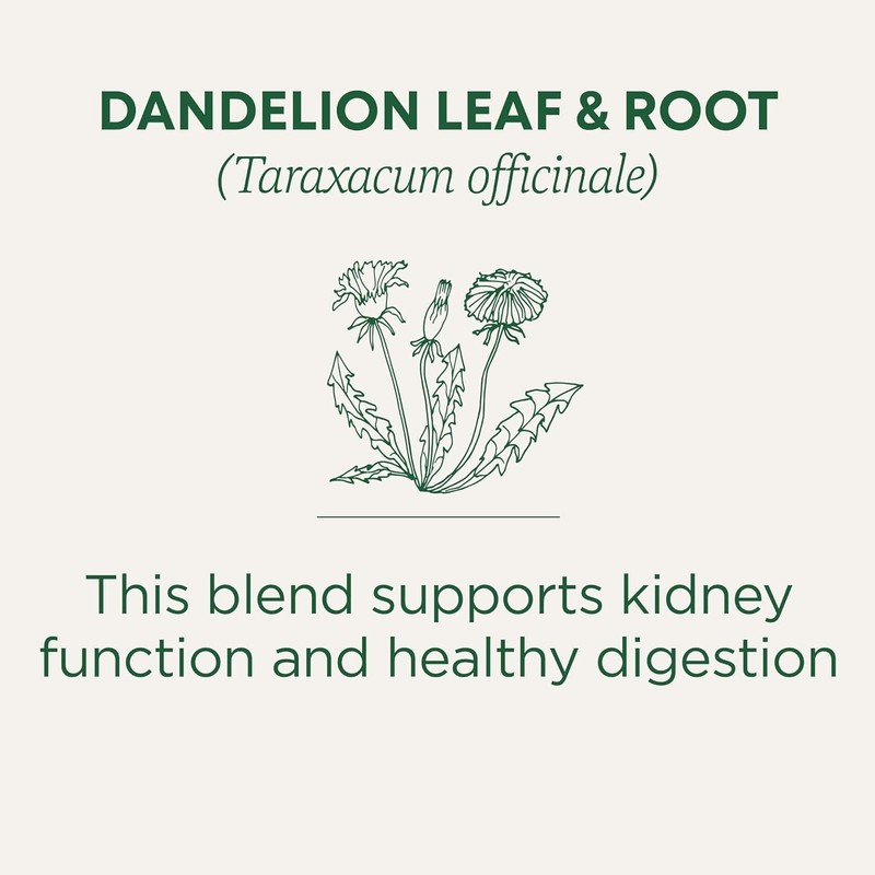 Organic Dandelion Leaf & Root Tea - 16 Bags for Detox & Digestive Support gallery