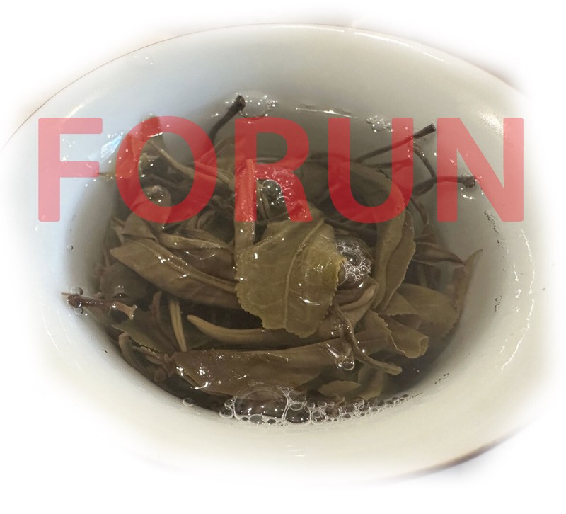 FORUN PUER loose tea (普洱茶）- Old tree wild tea gallery