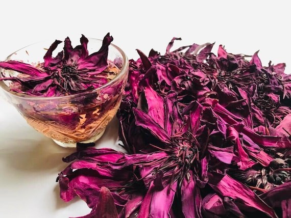 Red Egyptian Lotus Tea 1oz