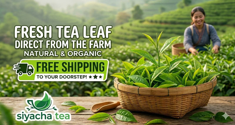 Indian Himalayan Green Tea Premium Whole Leaves Loose Blend Fresh 2026 Harvest gallery