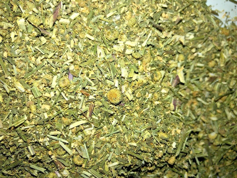 Herb Feverfew (Certified Organic) leaves herbal flowers - grown in Usa gallery